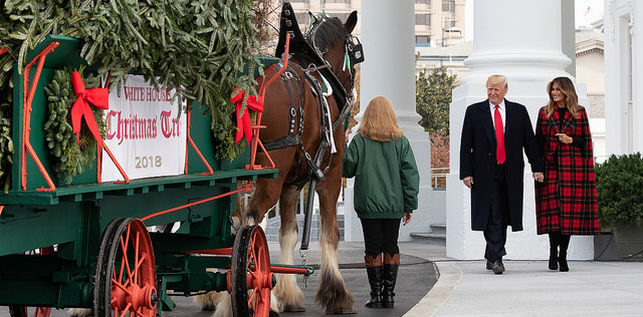 Donald y Melania Trump reciben en diciembre el rbol de Navidad instalado en la Casa Blanca.